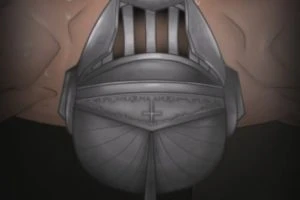 敗北の騎士団長 [生肉]